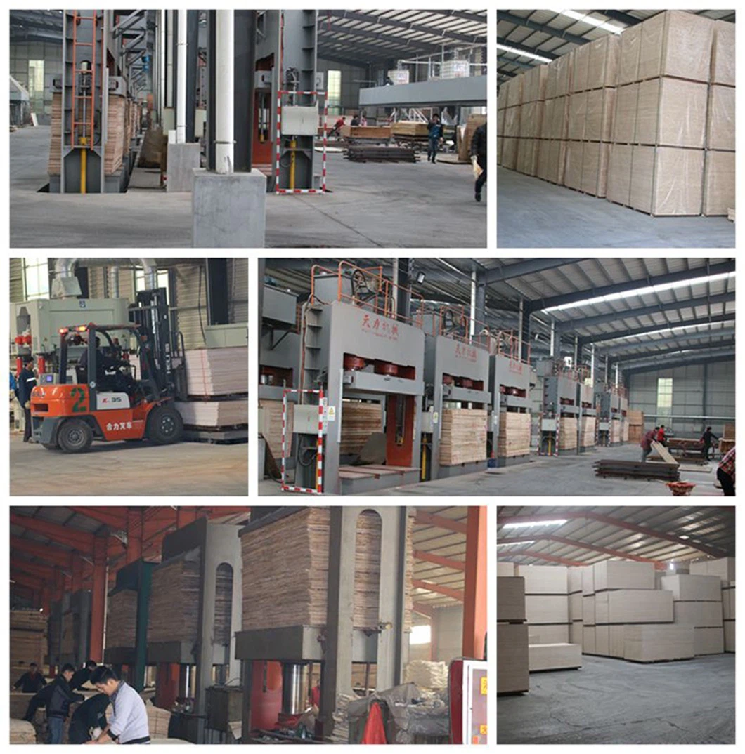 product-1060-1074 product-1060-1074